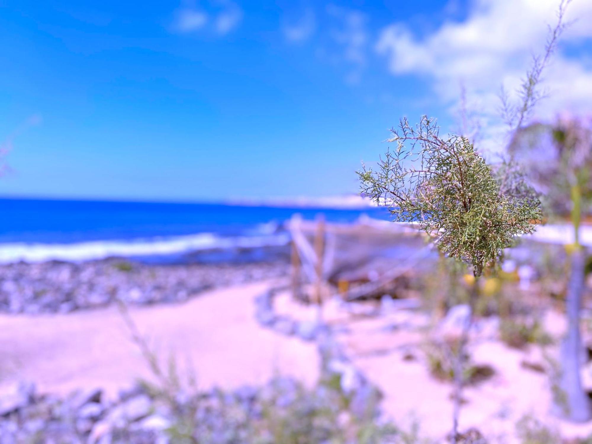 Tropicalidays Las Olas Palm-mar Zewnętrze zdjęcie